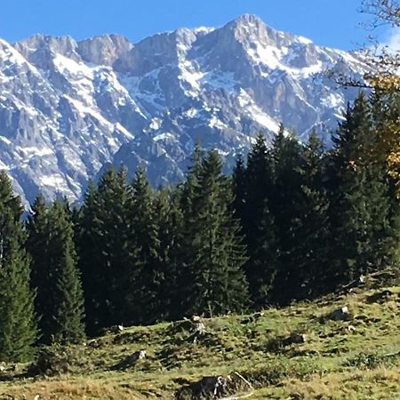 Villa Auhaeuslalm à Maria Alm Extérieur photo