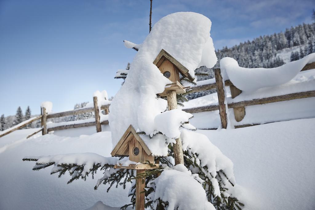 Villa Auhaeuslalm à Maria Alm Extérieur photo