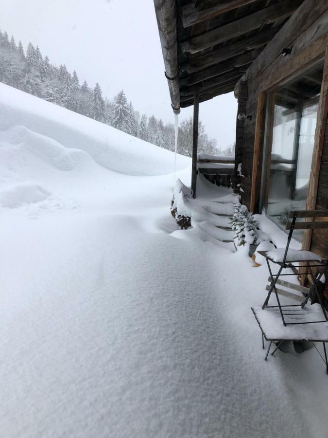 Villa Auhaeuslalm à Maria Alm Extérieur photo
